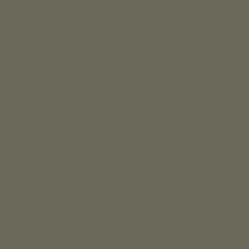 Caparol Capadur Color Wetterschutzfarbe NQG Grüngrau H 521