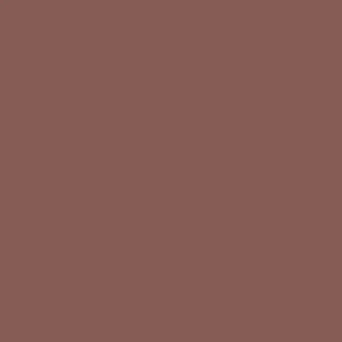 Caparol Amphisil Fassadenfarbe Magma 40
