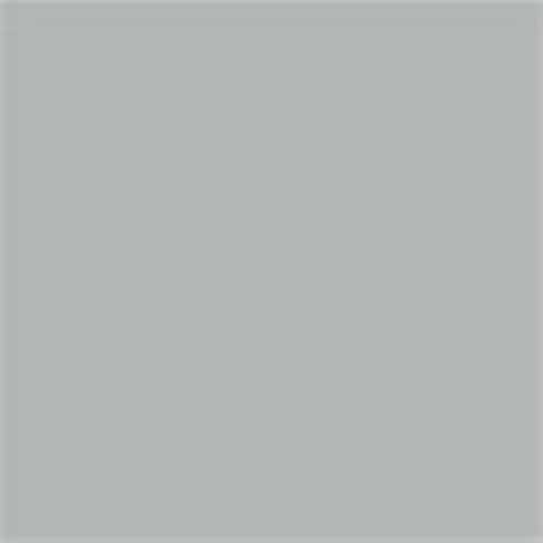 Caparol Capadur Color Wetterschutzfarbe NQG RAL 7001 Silbergrau