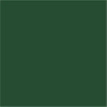 Caparol Capadur Color Wetterschutzfarbe NQG RAL 6029 Minzgrün