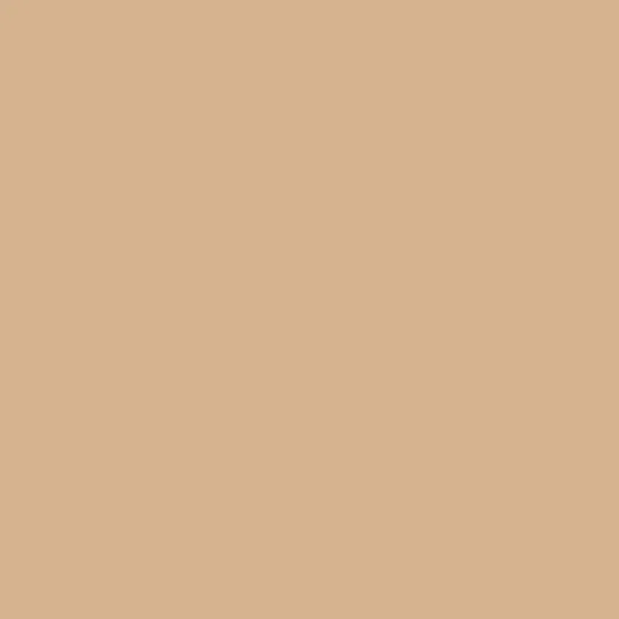 Caparol Amphisil Fassadenfarbe Onyx 105