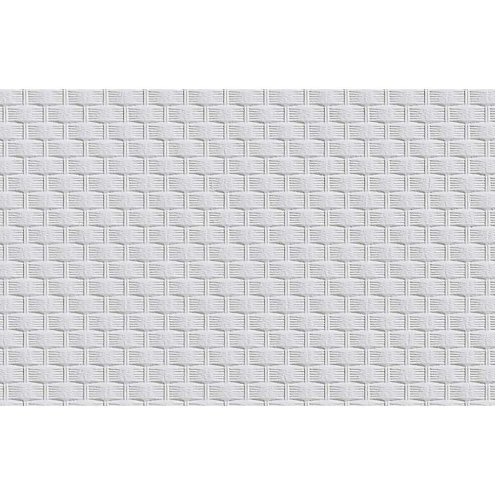 Erfurt Vliestapete Vliesfaser 559 PRO Erfurt Vliestapete Vliesfaser 559 PRO