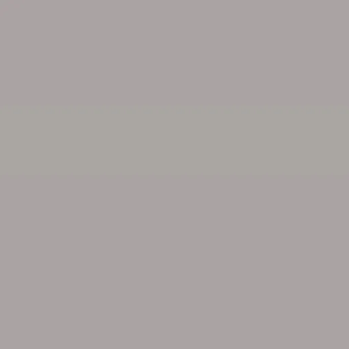 Caparol Amphisil Fassadenfarbe Granit 40