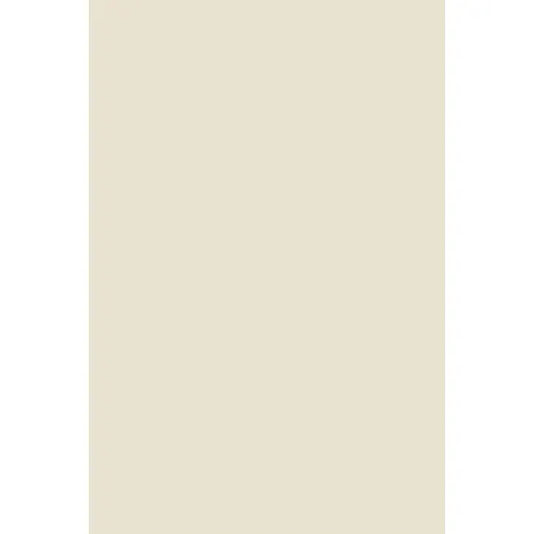 Indeko Plus in Farrow & Ball Skimming Stone (241) Wandfarbe Innenfarbe