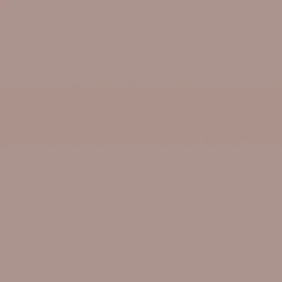 Caparol Indeko Plus Mocca 13 Wandfarbe Innenfarbe