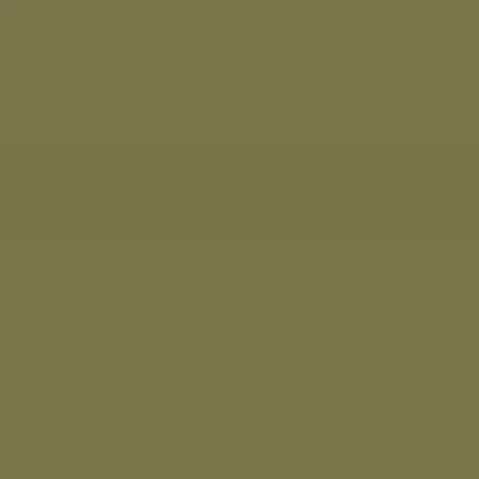 Tundra 95 Caparol Farbkarte