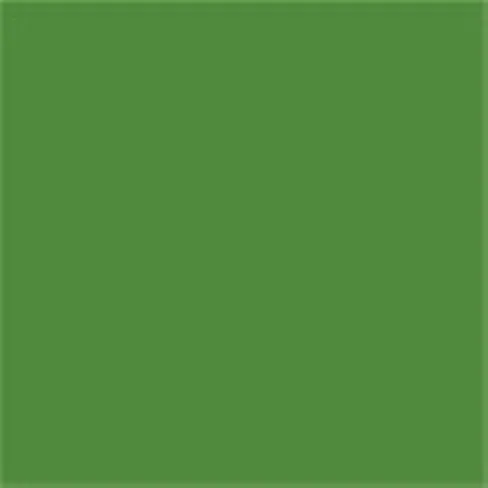 Caparol Capadur Color Wetterschutzfarbe NQG RAL 6002 Laubgrün