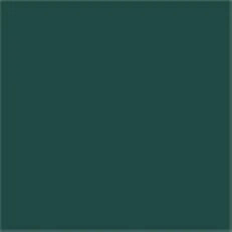 Caparol Capadur Color Wetterschutzfarbe NQG RAL 5020 Ozeanblau