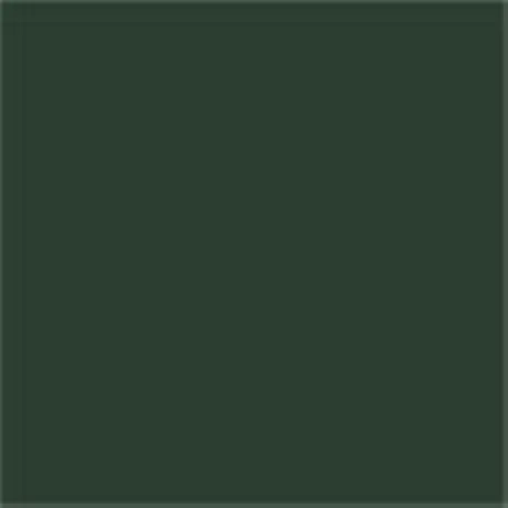 Caparol Capadur Color Wetterschutzfarbe NQG RAL 6028 Kieferngrün