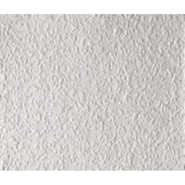 Erfurt Rauhfaser 70 PRO Erfurt Rauhfaser 70 PRO