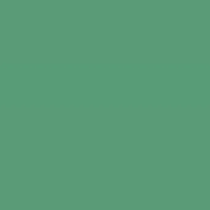 Caparol Amphisil Fassadenfarbe Malachit 105