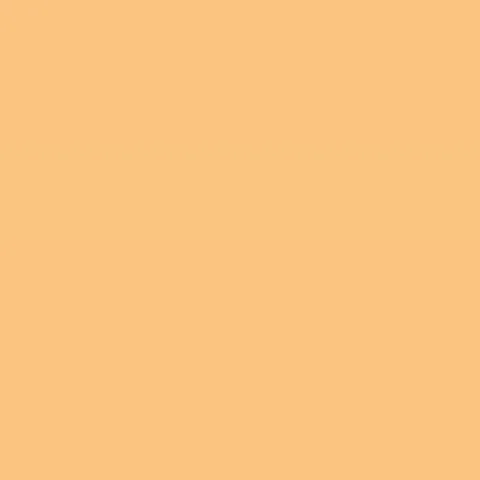 Caparol Indeko Plus Aprikose 14 Wandfarbe Innenfarbe Caparol Indeko Plus Aprikose 14 Wandfarbe Innenfarbe