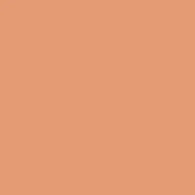 Caparol Indeko Plus Madeira 13 Wandfarbe Innenfarbe