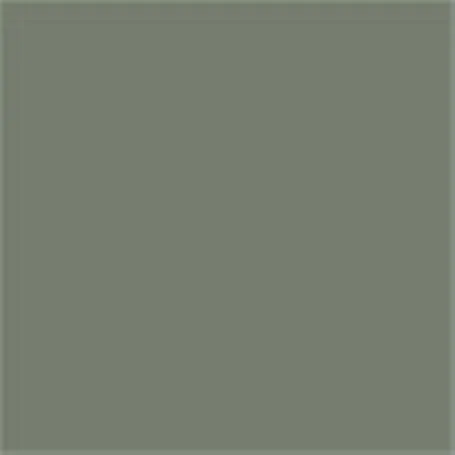 Caparol Capadur Color Wetterschutzfarbe NQG RAL 7023 Betongrau