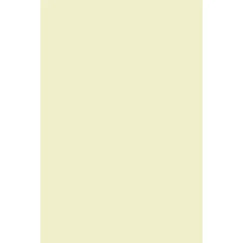 Indeko Plus in Farrow & Ball Tunsgate Green (250) Wandfarbe Innenfarbe