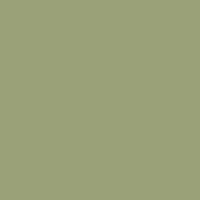 Caparol Amphisil Fassadenfarbe Jade 100