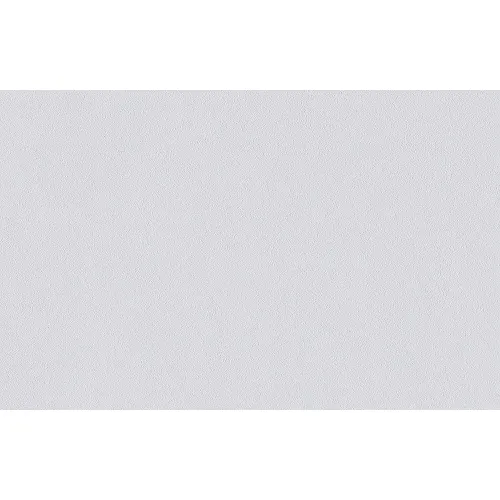 Erfurt Vlies Rauhfaser 10 PRO Erfurt Vlies Rauhfaser 10 PRO