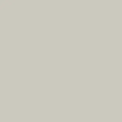 Caparol Indeko Plus Schiefer 16 Wandfarbe Innenfarbe