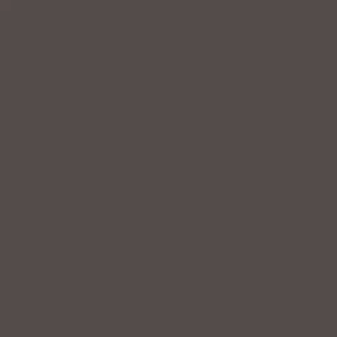 Caparol Indeko Plus Basalt 0 Wandfarbe Innenfarbe