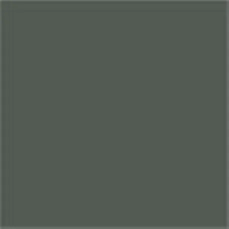 Caparol Capadur Color Wetterschutzfarbe NQG RAL 7031 Blaugrau