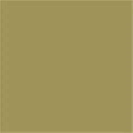 Caparol Capadur Color Wetterschutzfarbe NQG RAL 7002 Olivgrau