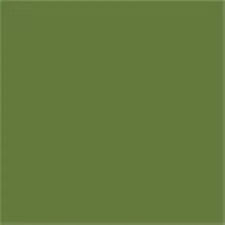 Caparol Capadur Color Wetterschutzfarbe NQG RAL 6025 Farngrün