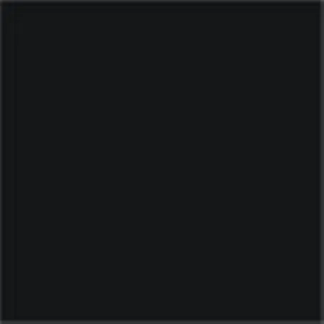 Caparol Capadur Color Wetterschutzfarbe NQG RAL 9011 Graphitschwarz