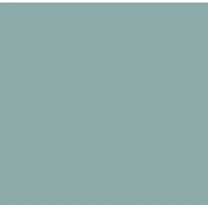 Indeko Plus in Farrow & Ball Ballroom Blue (24) Wandfarbe Innenfarbe