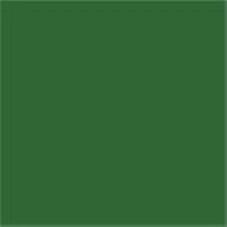 Caparol Capadur Color Wetterschutzfarbe NQG RAL 6010 Grasgrün