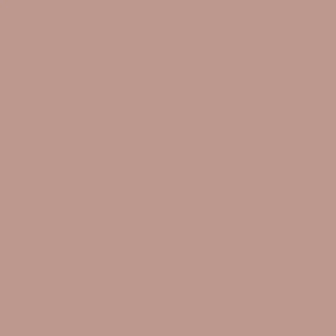 Caparol Amphisil Fassadenfarbe Lachs 5