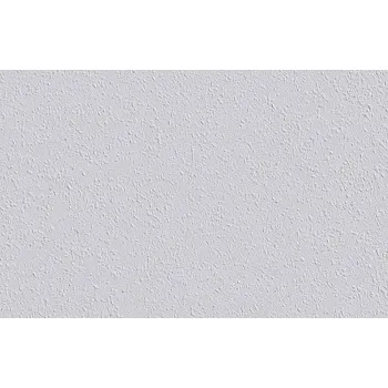 Erfurt Vlies Rauhfaser 20 PRO Erfurt Vlies Rauhfaser 20 PRO