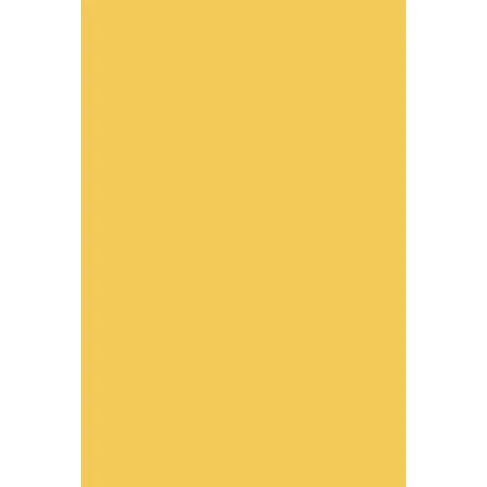 Indeko Plus in Farrow & Ball Yellow Ground (218) Wandfarbe Innenfarbe