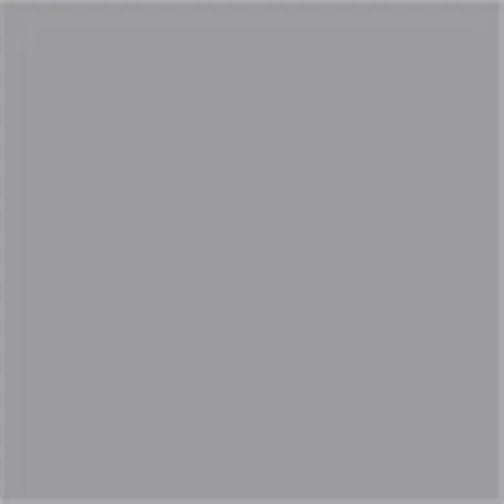 Caparol Capadur Color Wetterschutzfarbe NQG RAL 7037 Staubgrau
