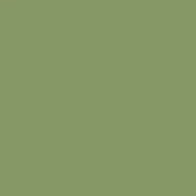Caparol Indeko Plus Amazonas 12 Wandfarbe Innenfarbe Caparol Indeko Plus Amazonas 12 Wandfarbe Innenfarbe