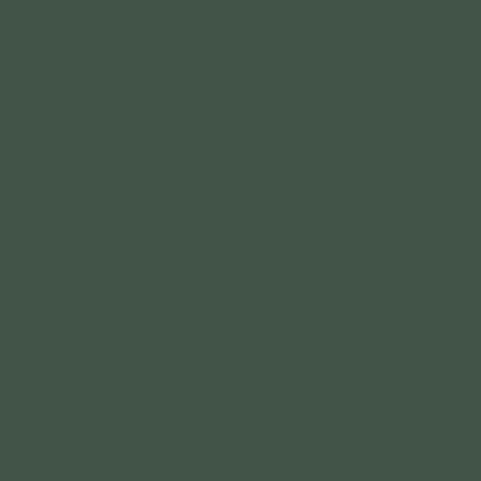 Caparol Amphisil Fassadenfarbe Malachit 5
