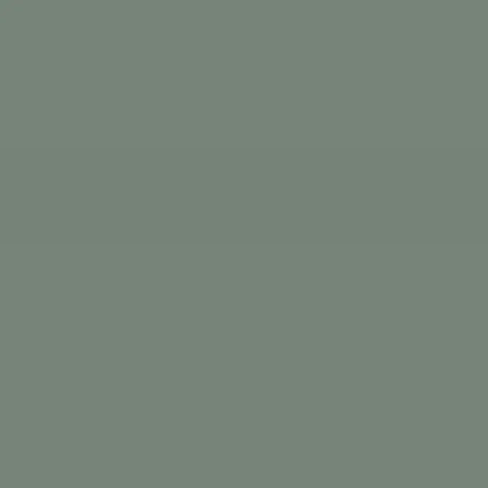 Caparol Amphisil Fassadenfarbe Malachit 15