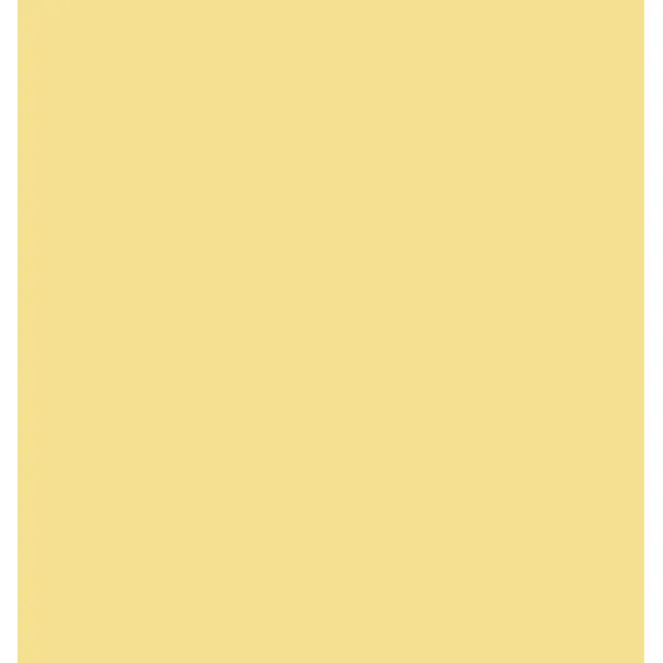 Indeko Plus in Farrow & Ball Lancaster Yellow (249) Wandfarbe Innenfarbe