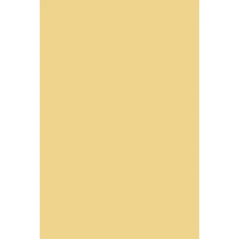 Indeko Plus in Farrow & Ball Dorset Cream (68) Wandfarbe Innenfarbe
