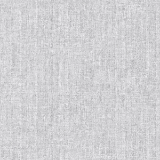 Erfurt Vliestapete Vliesfaser 548 PRO