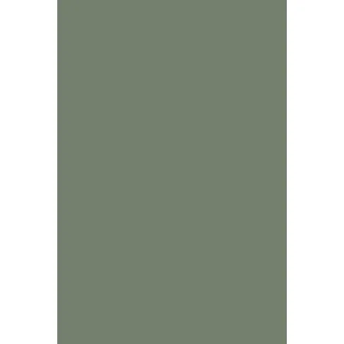 Indeko Plus in Farrow & Ball Card Room Green (79) Wandfarbe Innenfarbe