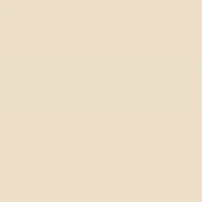 Caparol Indeko Plus Savanne 16 Wandfarbe Innenfarbe