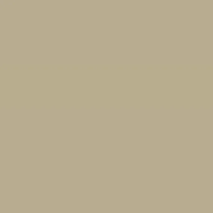 Caparol Amphisil Fassadenfarbe Curry 5