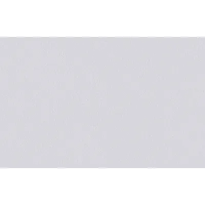 Erfurt Vliestapete Variovlies V 150 PRO Erfurt Vliestapete Variovlies V 150 PRO