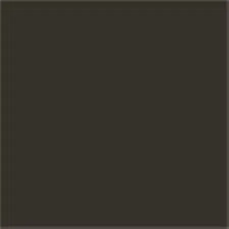 Caparol Capadur Color Wetterschutzfarbe NQG RAL 6015 Schwarzoliv