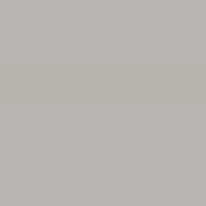 Caparol Indeko Plus Ferro 45 Wandfarbe Innenfarbe