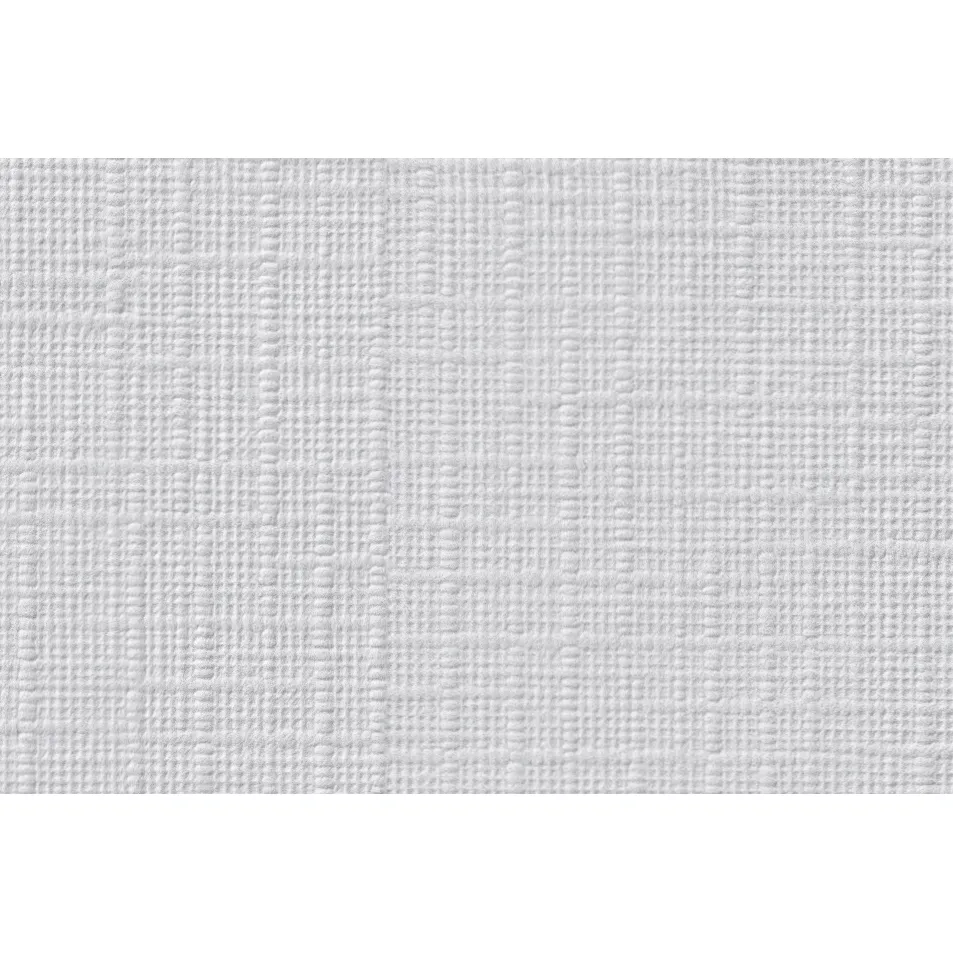 Erfurt Vliestapete Vliesfaser 587 PRO Erfurt Vliestapete Vliesfaser 587 PRO