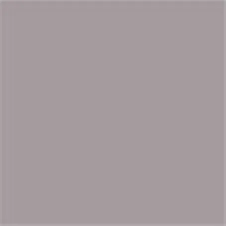Caparol Capadur Color Wetterschutzfarbe NQG RAL 7042 Verkehrsgrau A