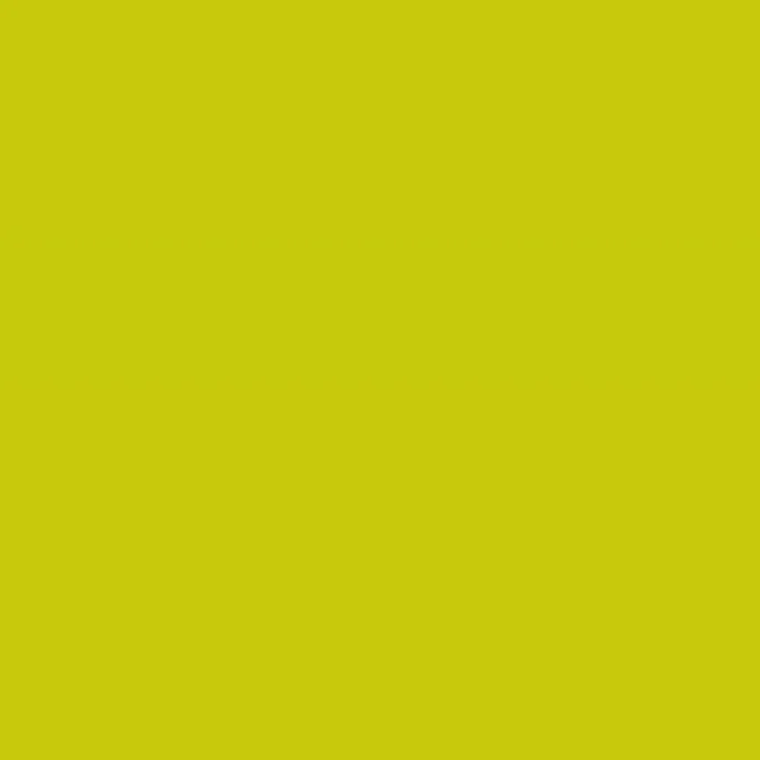 Caparol Buntlack Capalac Oliv 30 hochglanz