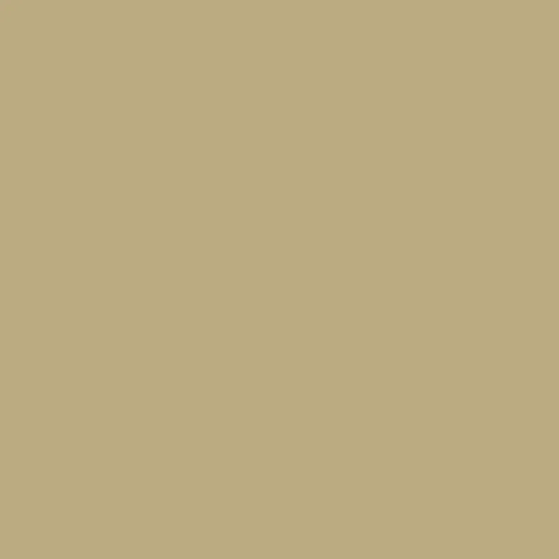 Caparol Dickschichtlack Tarnfarbe RAL 1040 Lehmbeige Caparol Dickschichtlack Tarnfarbe RAL 1040 Lehmbeige