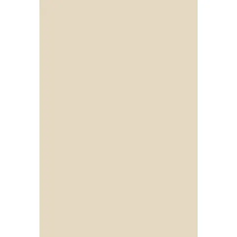 Indeko Plus in Farrow & Ball Shaded White (201) Wandfarbe Innenfarbe